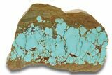 Polished Turquoise Slab - Number Mine, Carlin, NV #248341-1